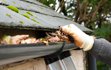gutter cleaning East Town